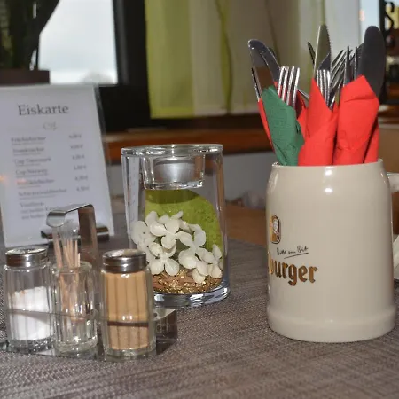 楚姆斯特林宾馆 *